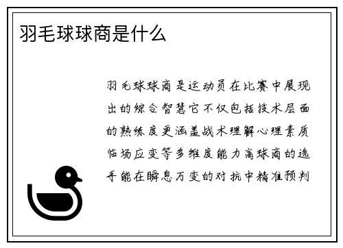 羽毛球球商是什么