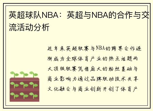 英超球队NBA：英超与NBA的合作与交流活动分析